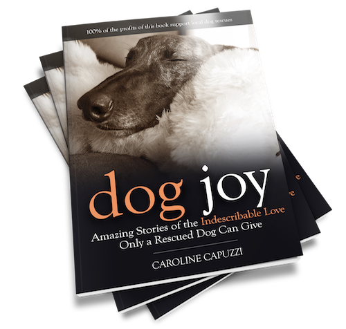 Dog-Joy-book-3D-3 Dog-Joy-book-3D-3
